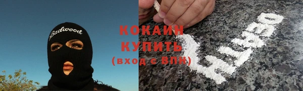 индика Нефтегорск