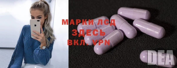 спайс Нея