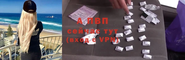 спайс Нея