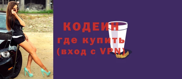 индика Нефтегорск