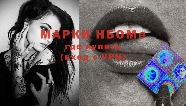 индика Нефтегорск