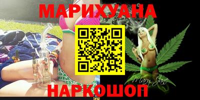 крисы Бийск