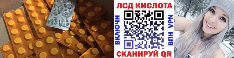 где купить Краснознаменск Лсд 25 экстази кислота