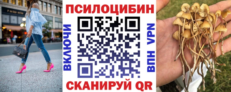 Галлюциногенные грибы Magic Shrooms  Краснознаменск 