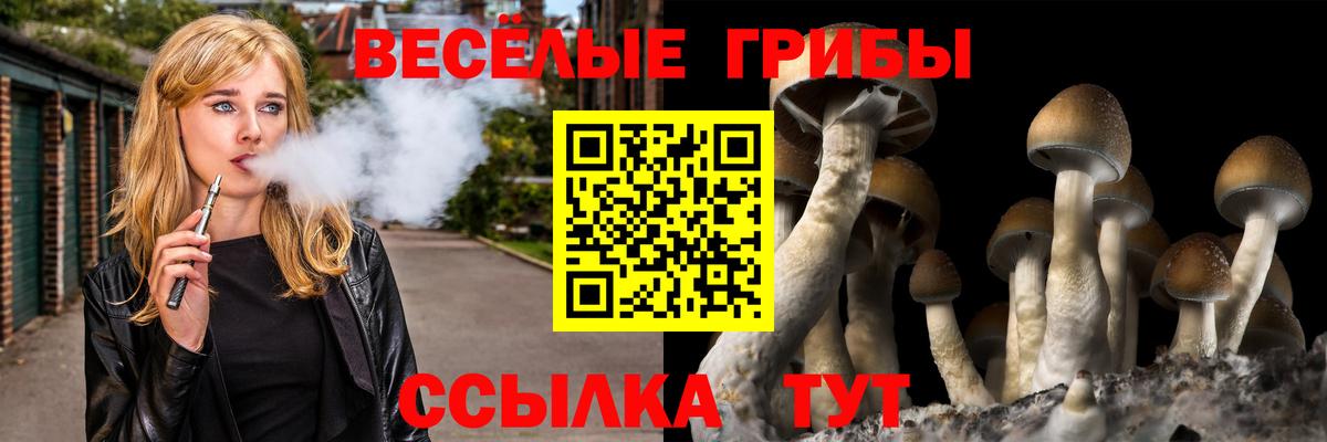 Галлюциногенные грибы GOLDEN TEACHER Краснознаменск