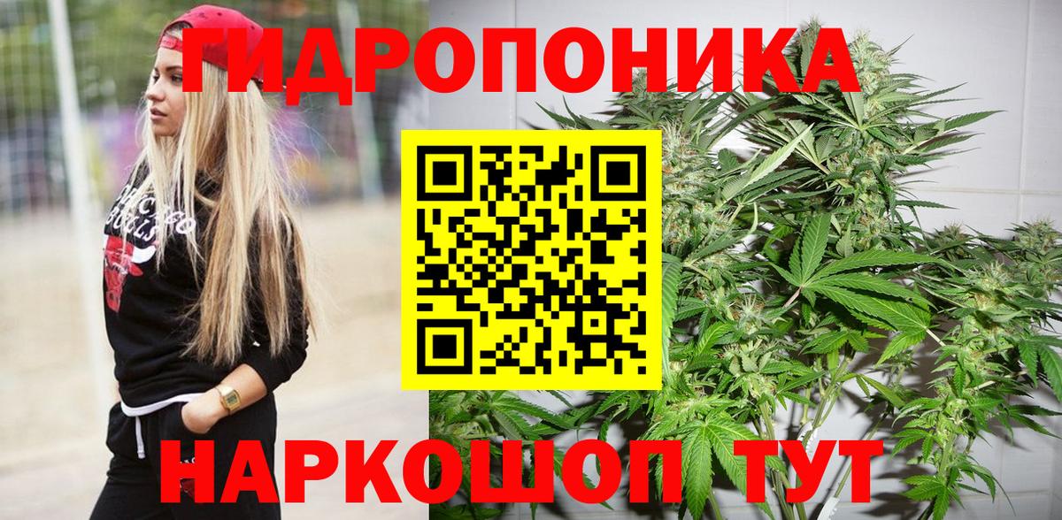 Конопля план Краснознаменск